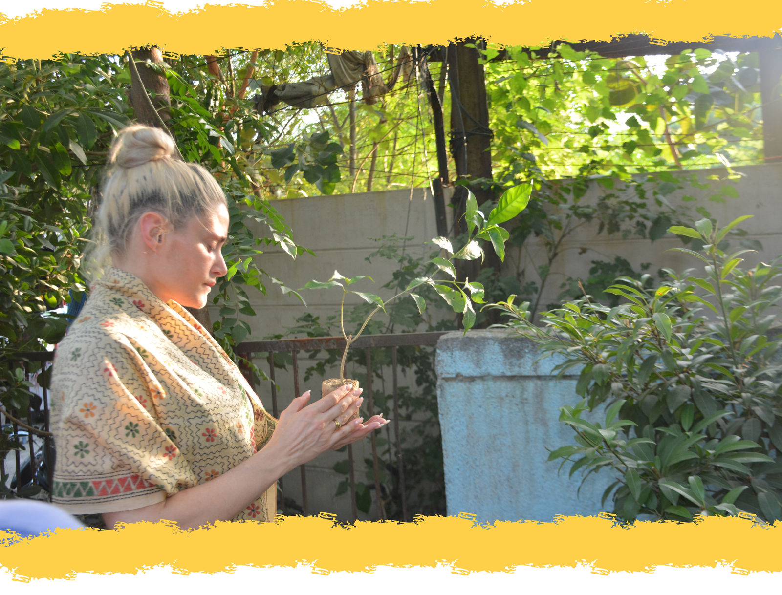 Plantation Drive